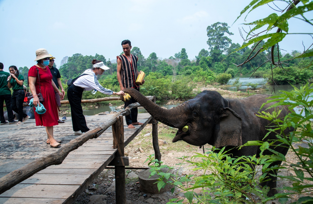 Phát triển du lịch Đắk Lắk toàn diện, nhanh và bền vững 